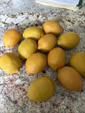 Bright Yellow Decorative Lemons - Set of Realistic Faux Fruit